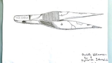OD_07_HIS_CHARLOTTE_WILLIAMSON_1382