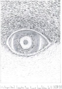 Detailed pencil sketch of a little penguin's eye, showcasing fine shading and textures.